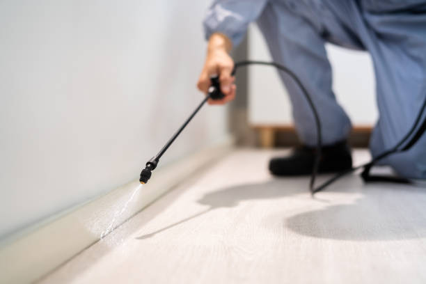 Bed Bug Pre-Treatment Preparation Assessment in Gasport