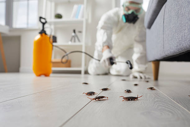 Post-Treatment Bed Bug Interceptor Monitoring in Gasport