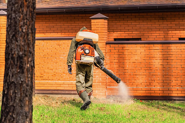 Bed Bug Clearance Verification and Documentation in Gasport